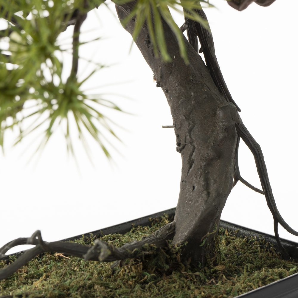 Fer Guest Greeting Pine (38cm) - Image 3
