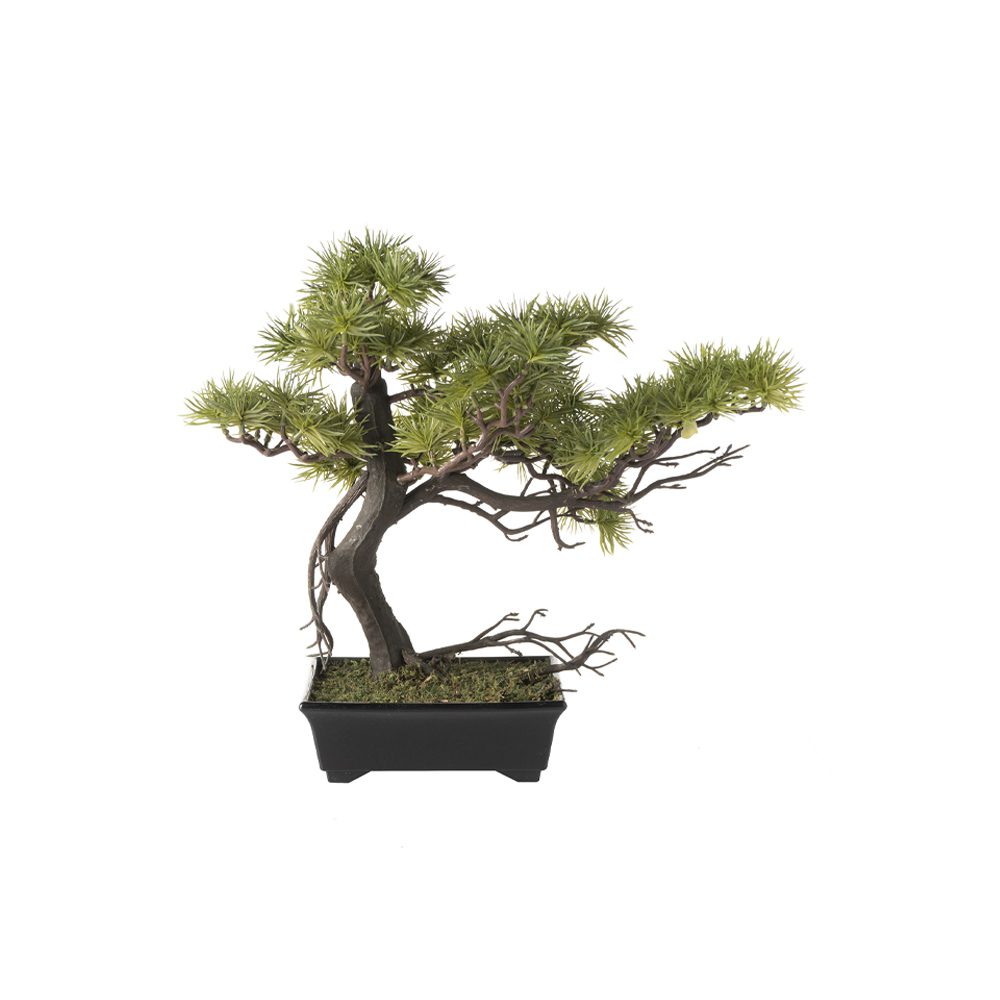 Fer Guest Greeting Pine (38cm) - Image 4