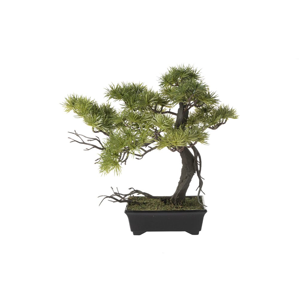 Fer Guest Greeting Pine (38cm) - Image 5