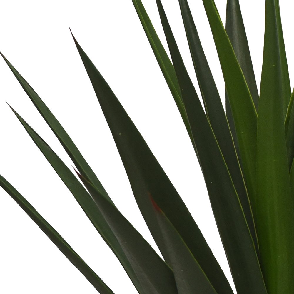 Eliza Potted Sisal Tree (130cm) - Image 2
