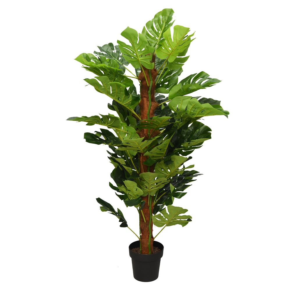 Pak Leo Potted Split Philo Tree (150cm)