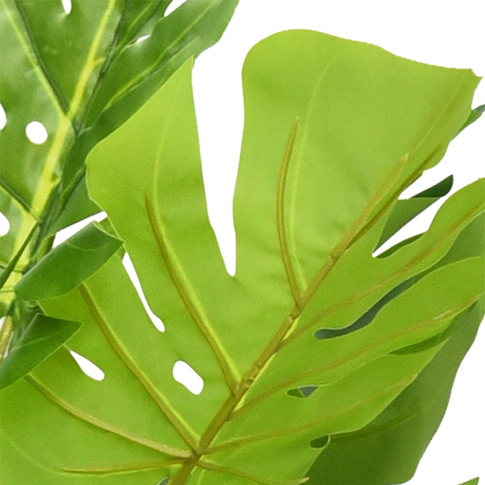 Pak Leo Potted Split Philo Tree (150cm) - Image 6