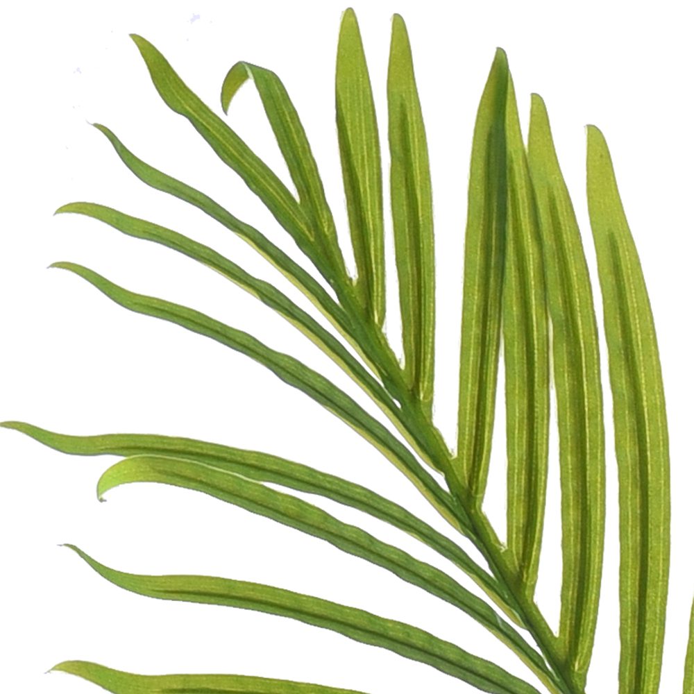 Molly Potted Palm Tree (150cm) - Image 2