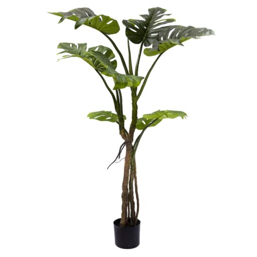 Potted Monstera Plant (130cm)