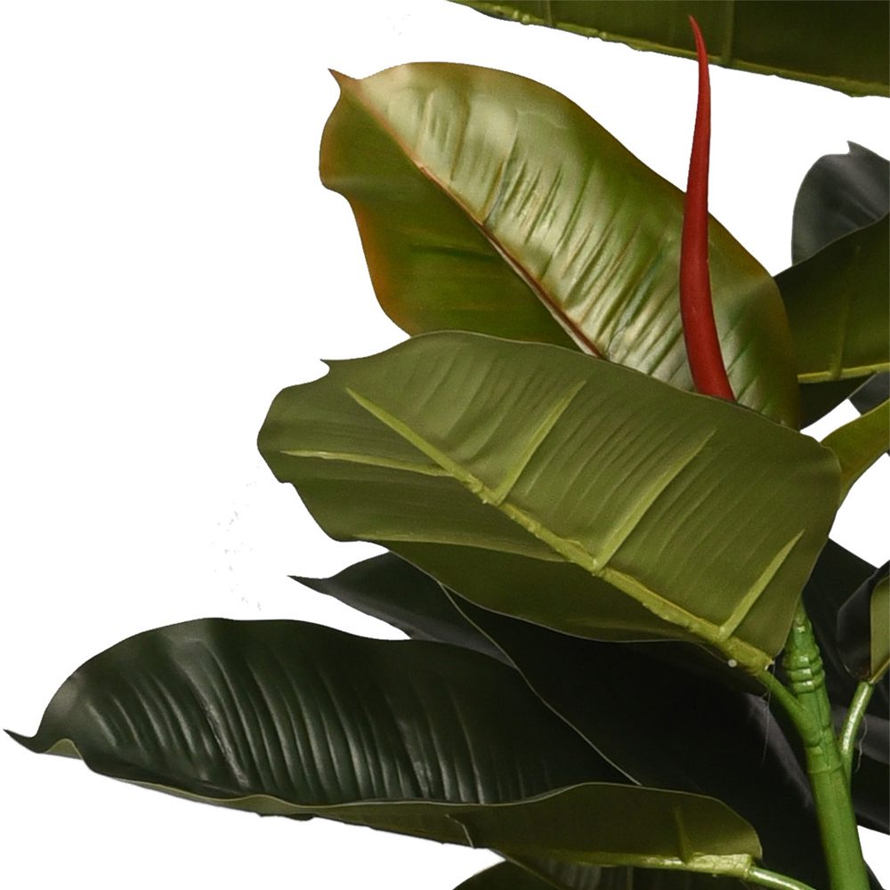 Sofia Potted Ficus Elastica (130cm) - Image 2