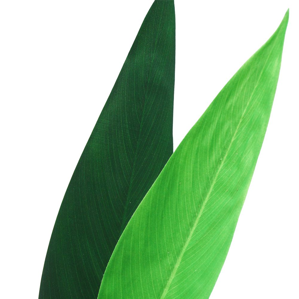 Maria Potted Sky Bird Tree (110cm, 130cm, 150cm, 177cm) - Image 9