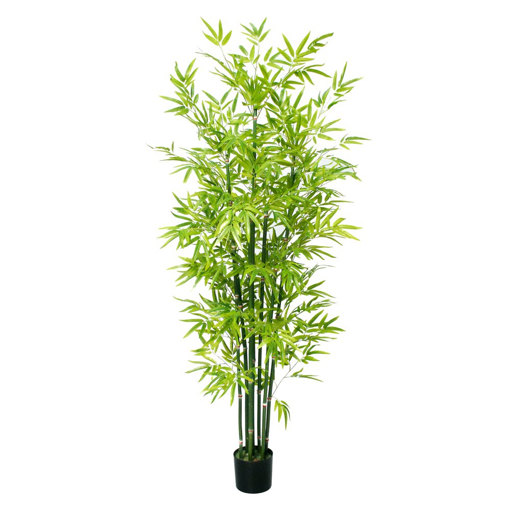 Uncle Chong Potted Bamboo Tree (182cm)