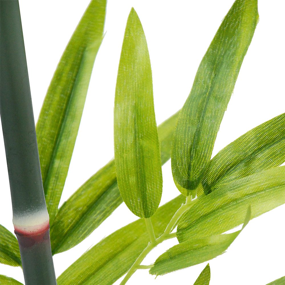 Uncle Chong Potted Bamboo Tree (182cm) - Image 6
