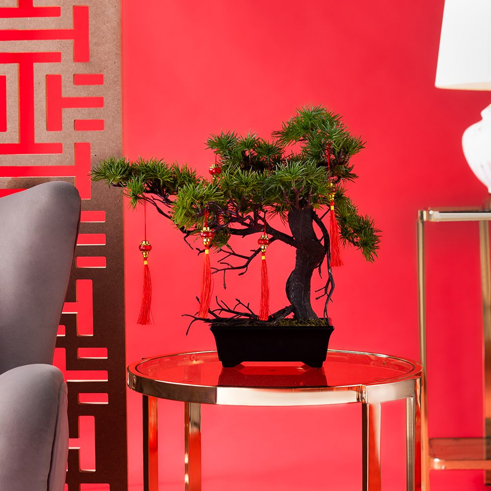Fer Guest Greeting Pine (38cm) - Image 7