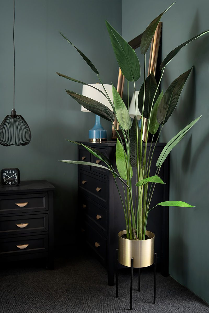 Maria Potted Sky Bird Tree (110cm, 130cm, 150cm, 177cm) - Image 5