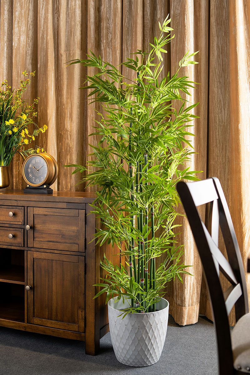 Uncle Chong Potted Bamboo Tree (182cm) - Image 2