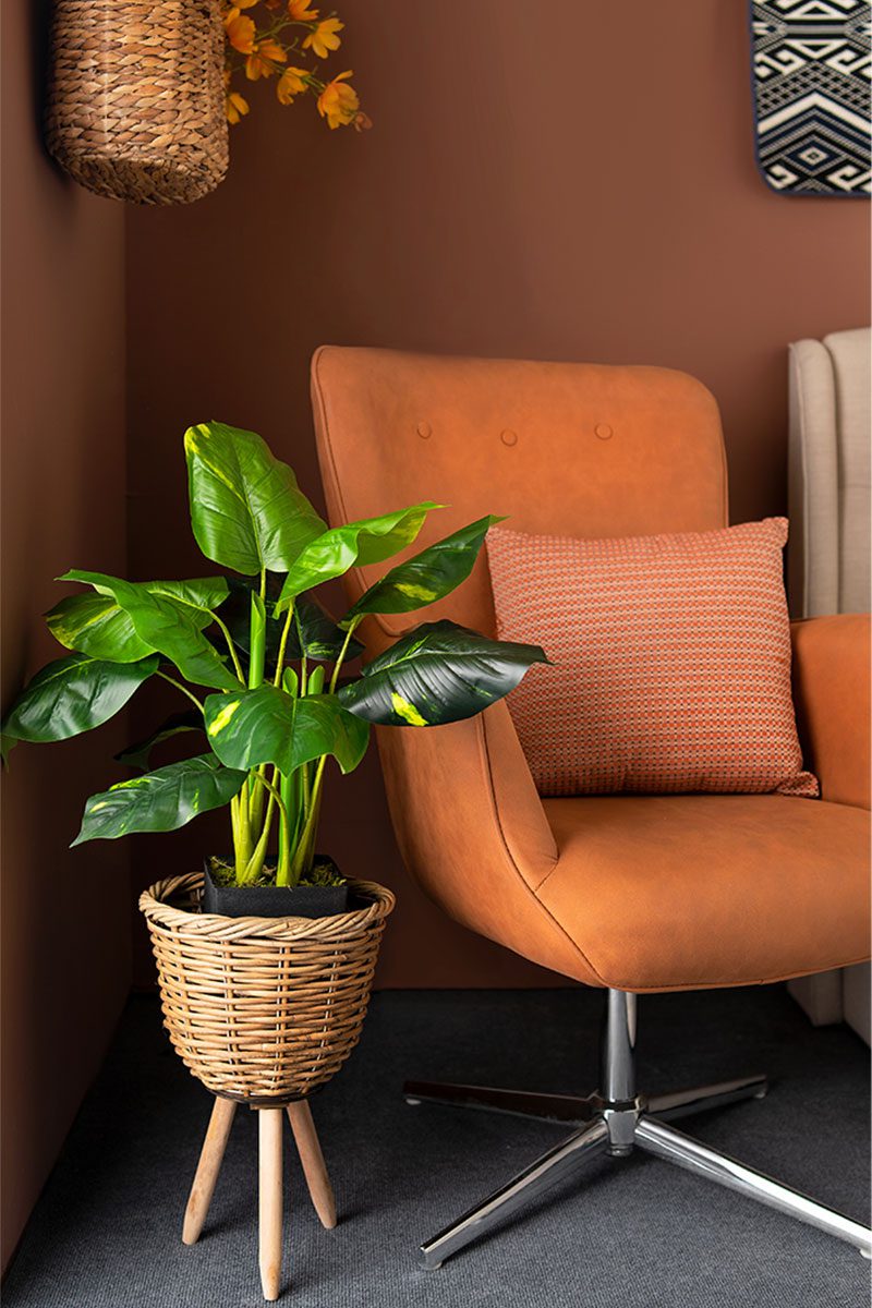 Fifi Potted Plant (70cm) - Image 2