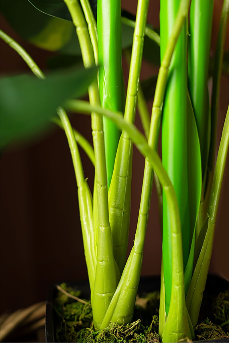 Fifi Potted Plant (70cm) - Image 4