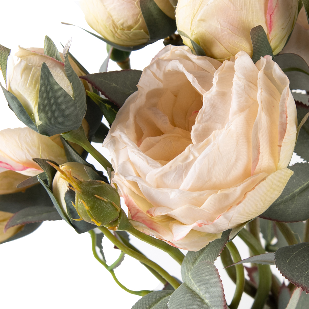 Rose Bush (H44cm) - Image 2