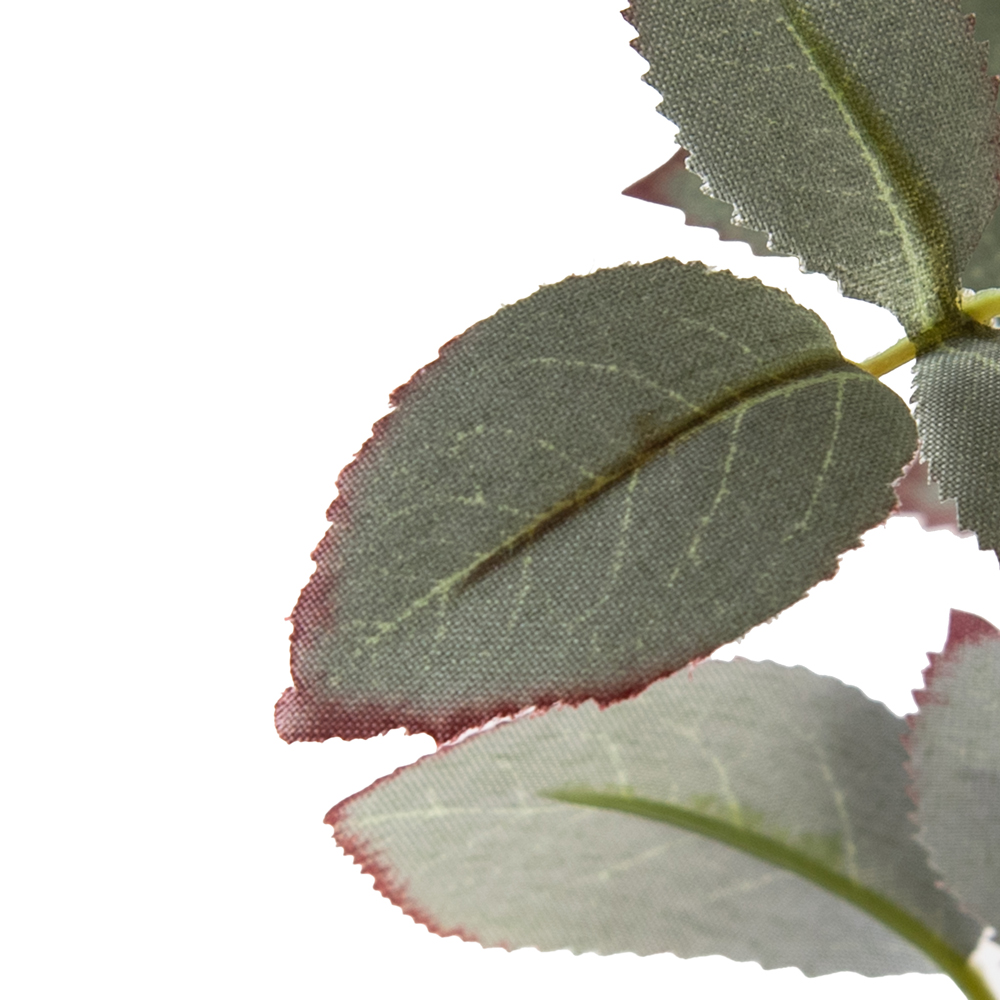 Rose Bush (H44cm) - Image 4