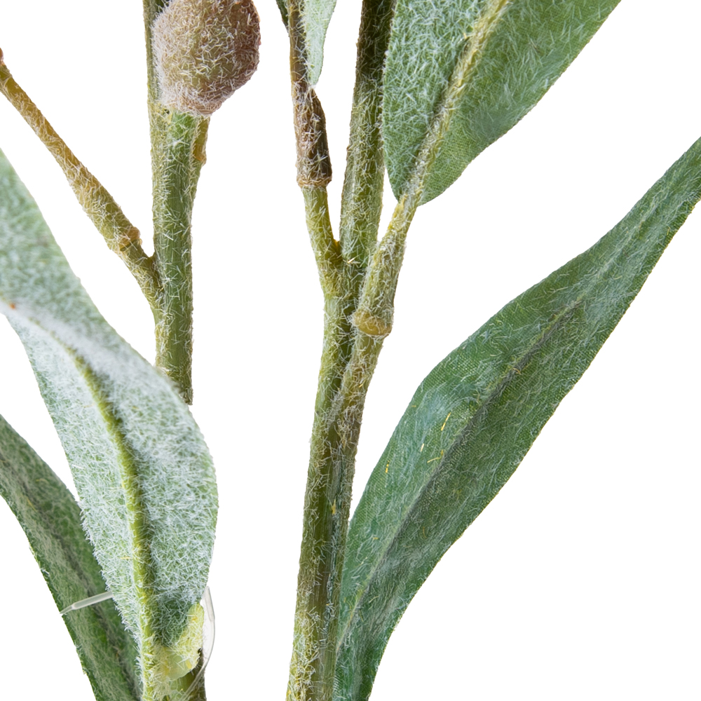 Carthamus Spray (H81cm) - Image 3