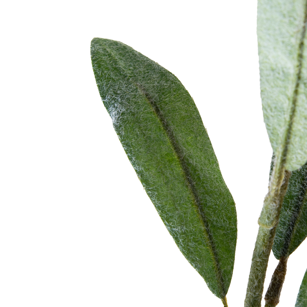 Carthamus Spray (H81cm) - Image 4