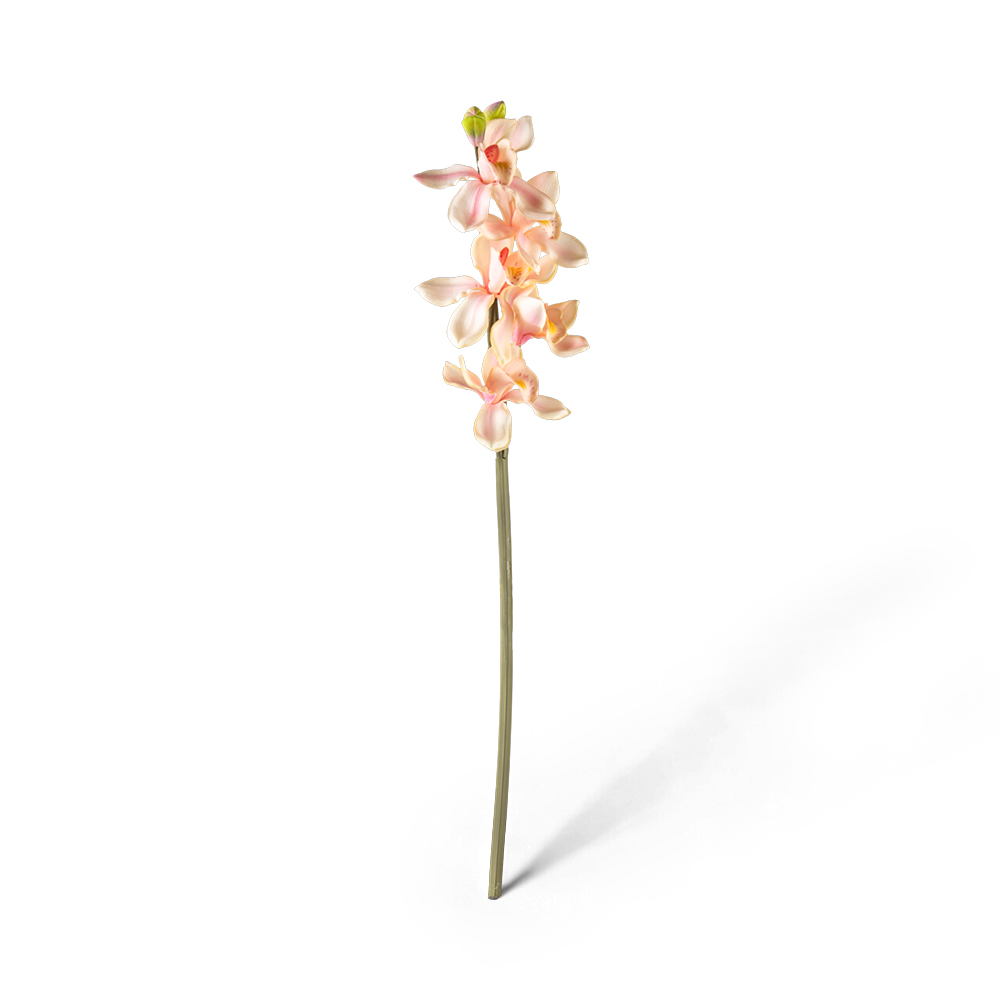 Cymbidium Spray (H66cm)