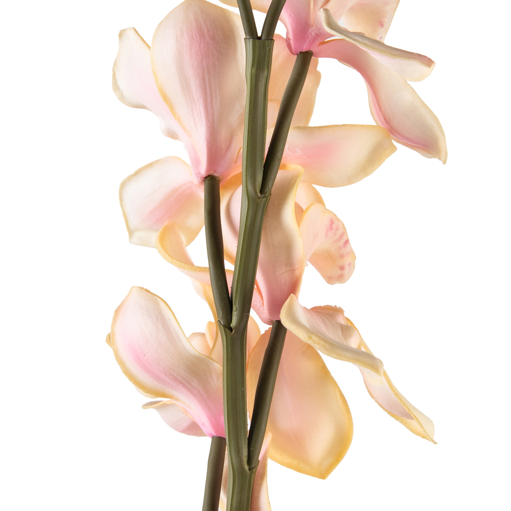 Cymbidium Spray (H66cm) - Image 3