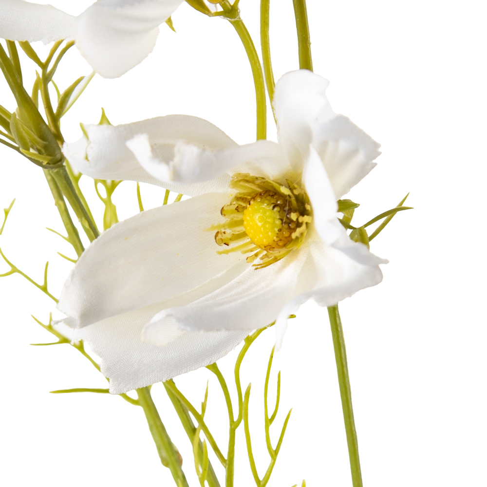 Cosmos Flower Bundle (H58cm) - Image 2