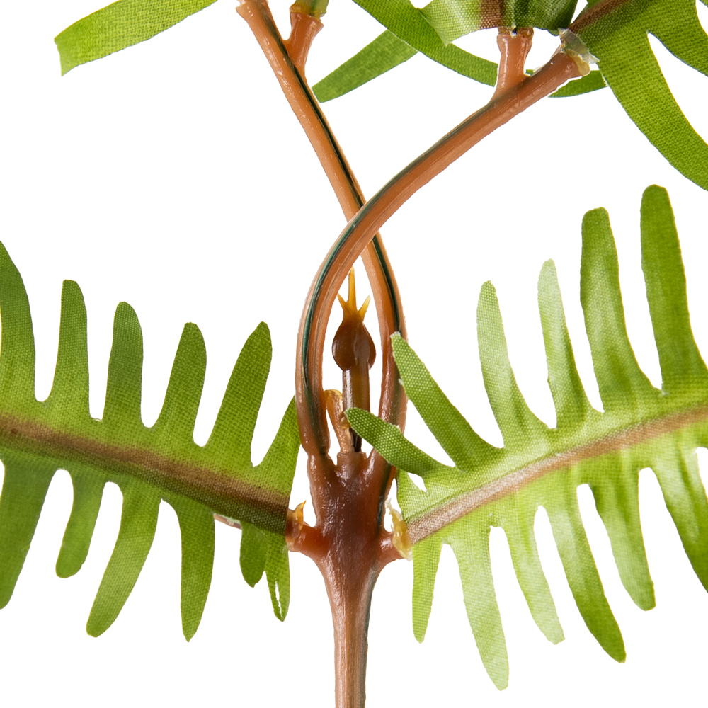 Boston Fern Spray (H86cm) - Image 3
