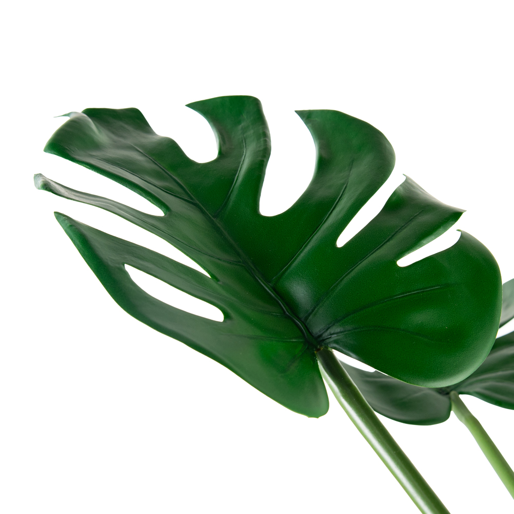 Monstera Plant (H70cm) - Image 2