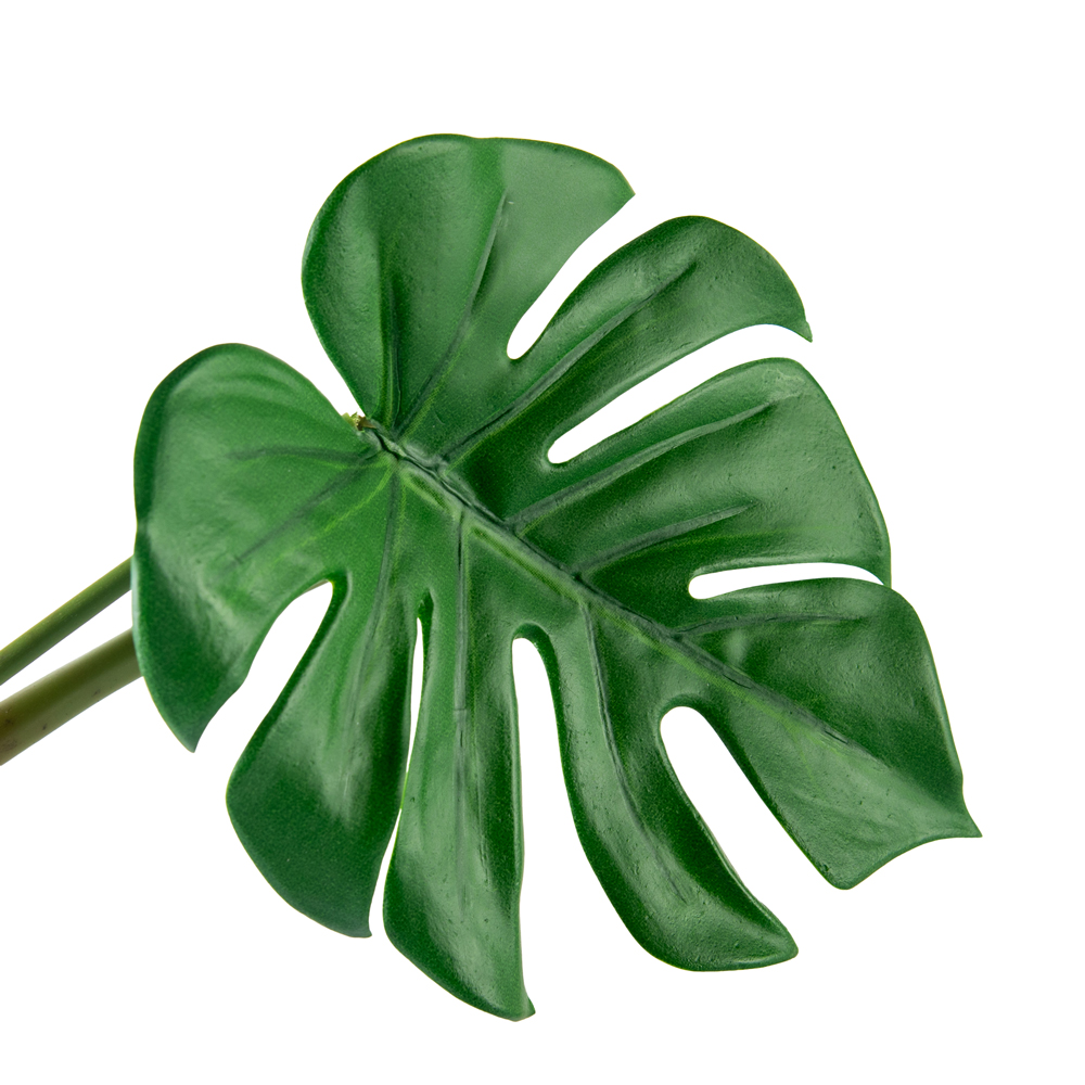 Monstera Plant (H80cm) - Image 2