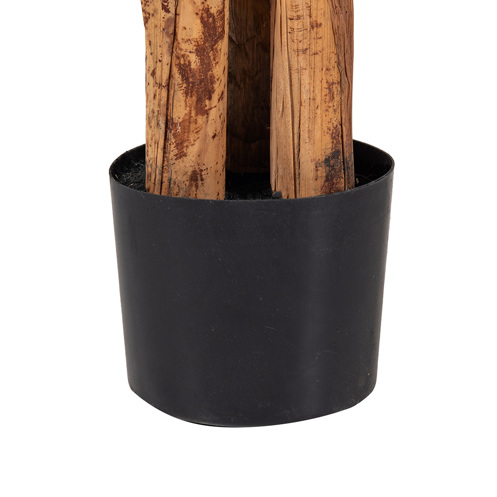 Potted Banana Tree (H150cm) - Image 3