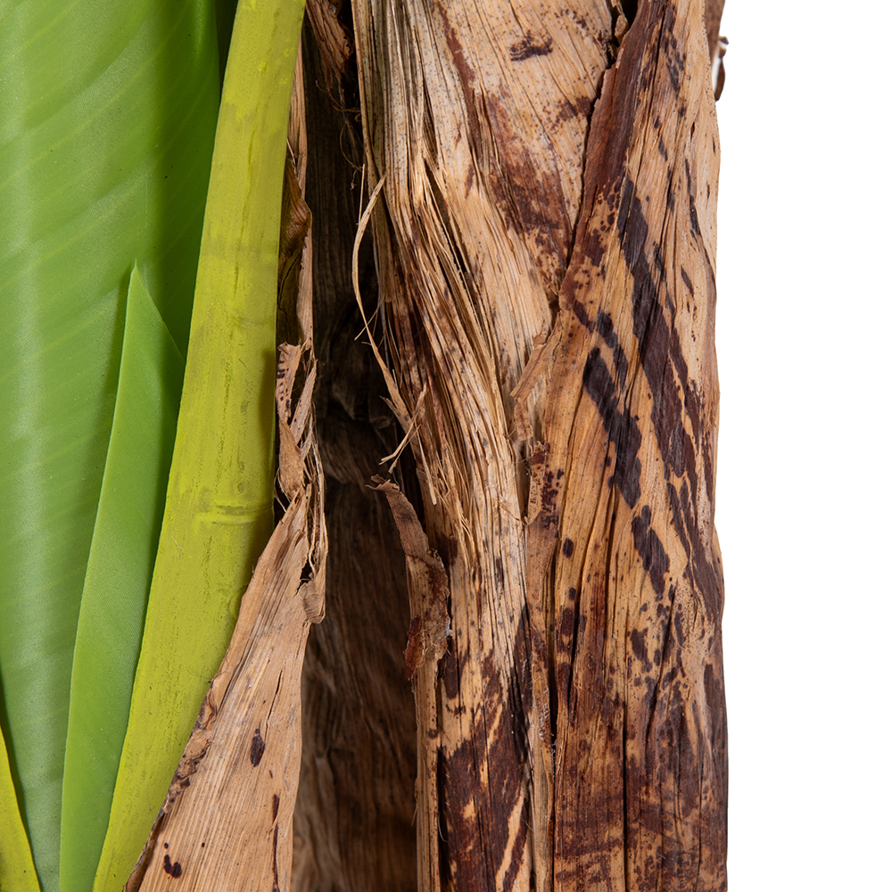 Potted Banana Tree (H150cm) - Image 4