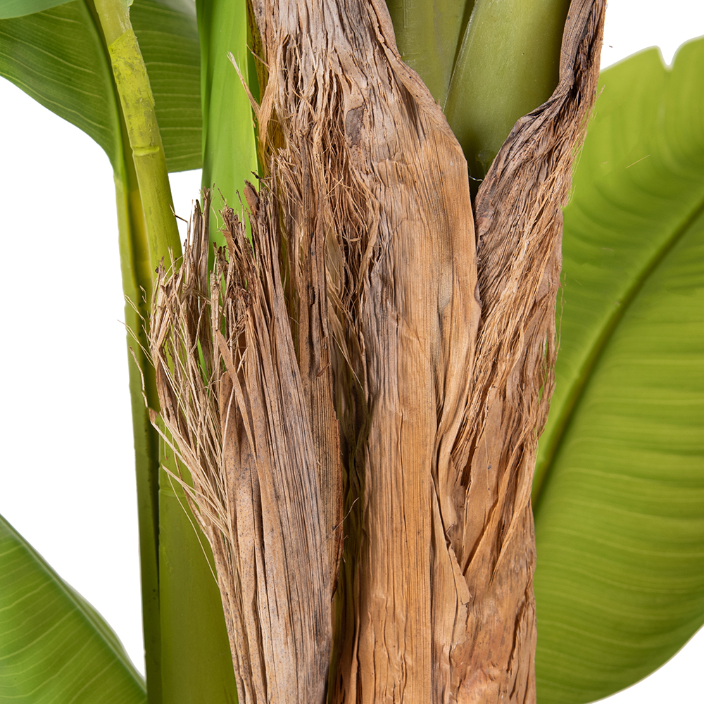 Potted Banana Tree (H150cm) - Image 5