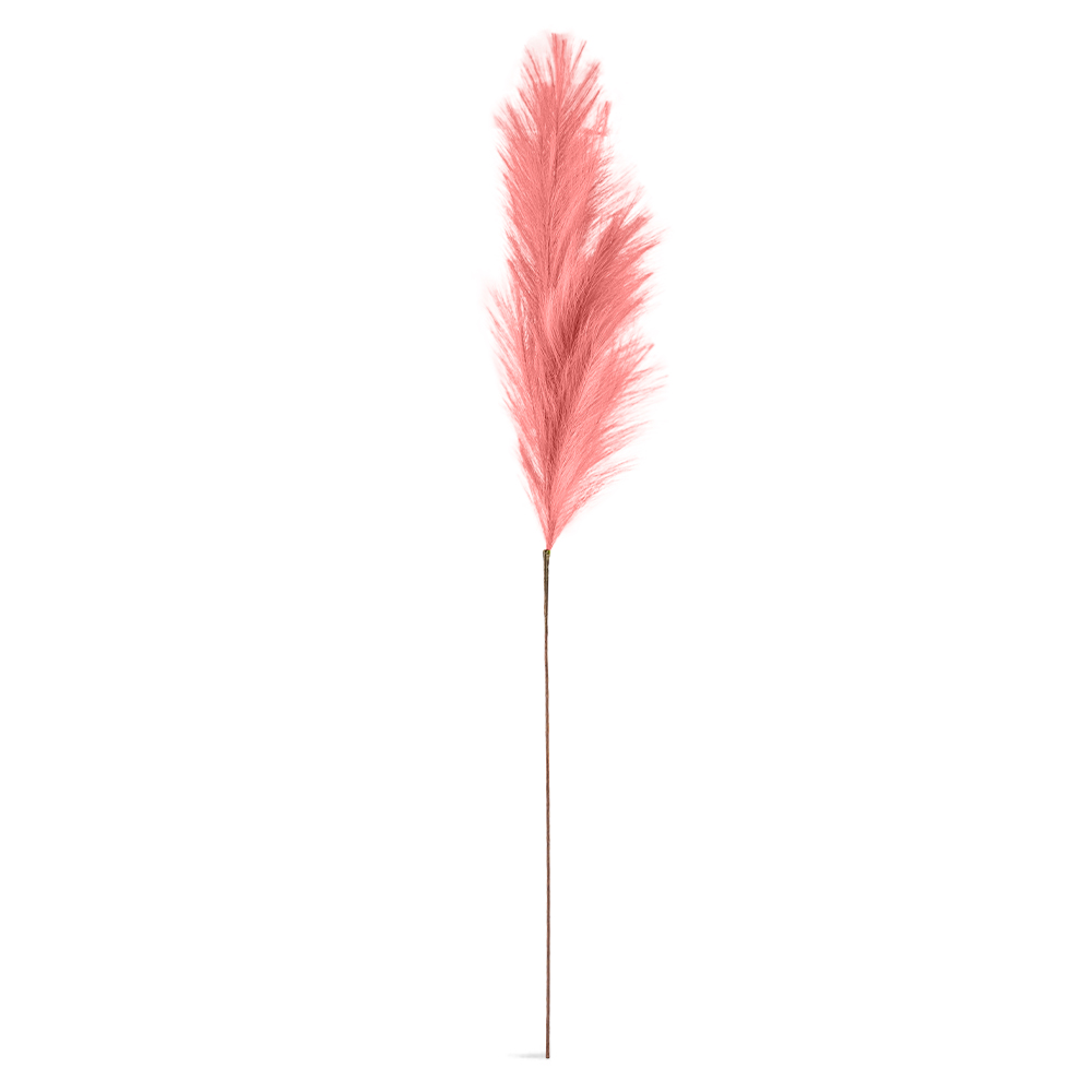 Single Pampas Reed (H110cm) - Image 6