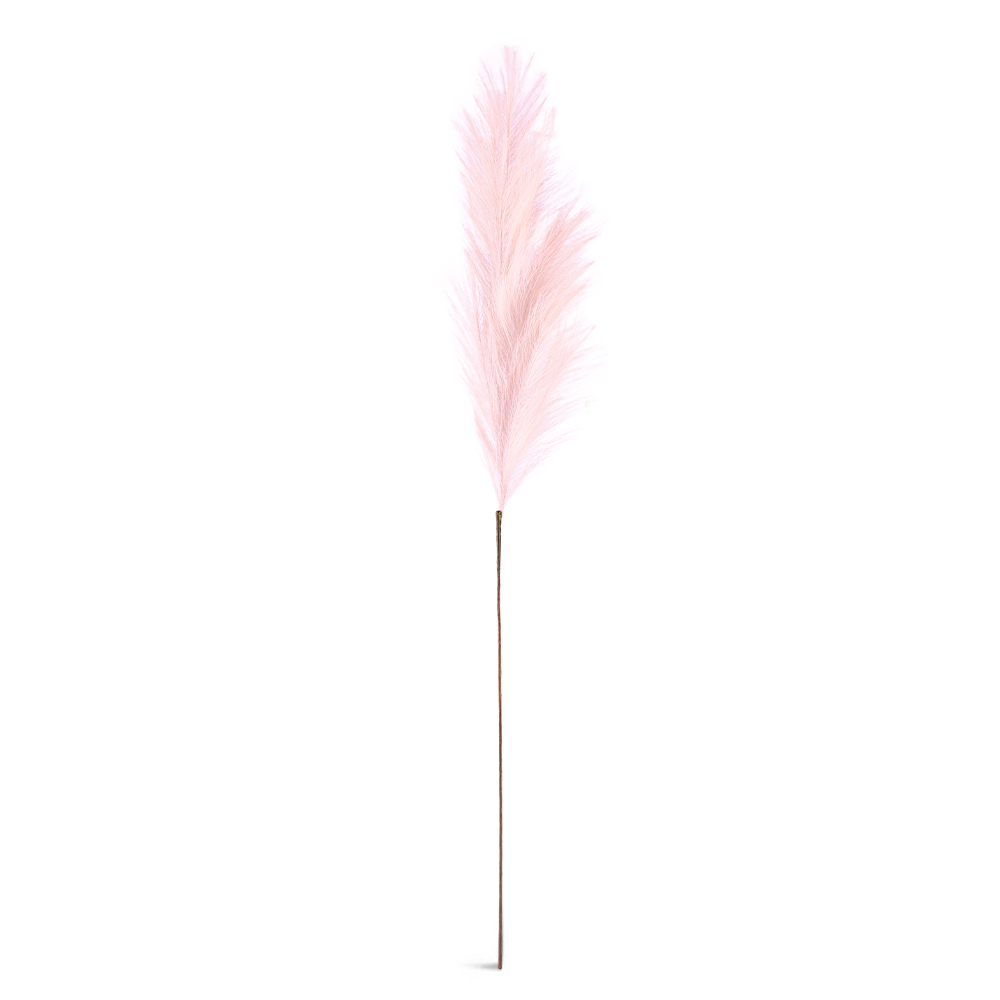 Single Pampas Reed (H110cm) - Image 8
