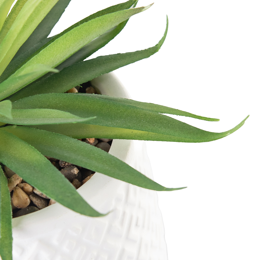 Potted Sword Grass (H21cm) - Image 3