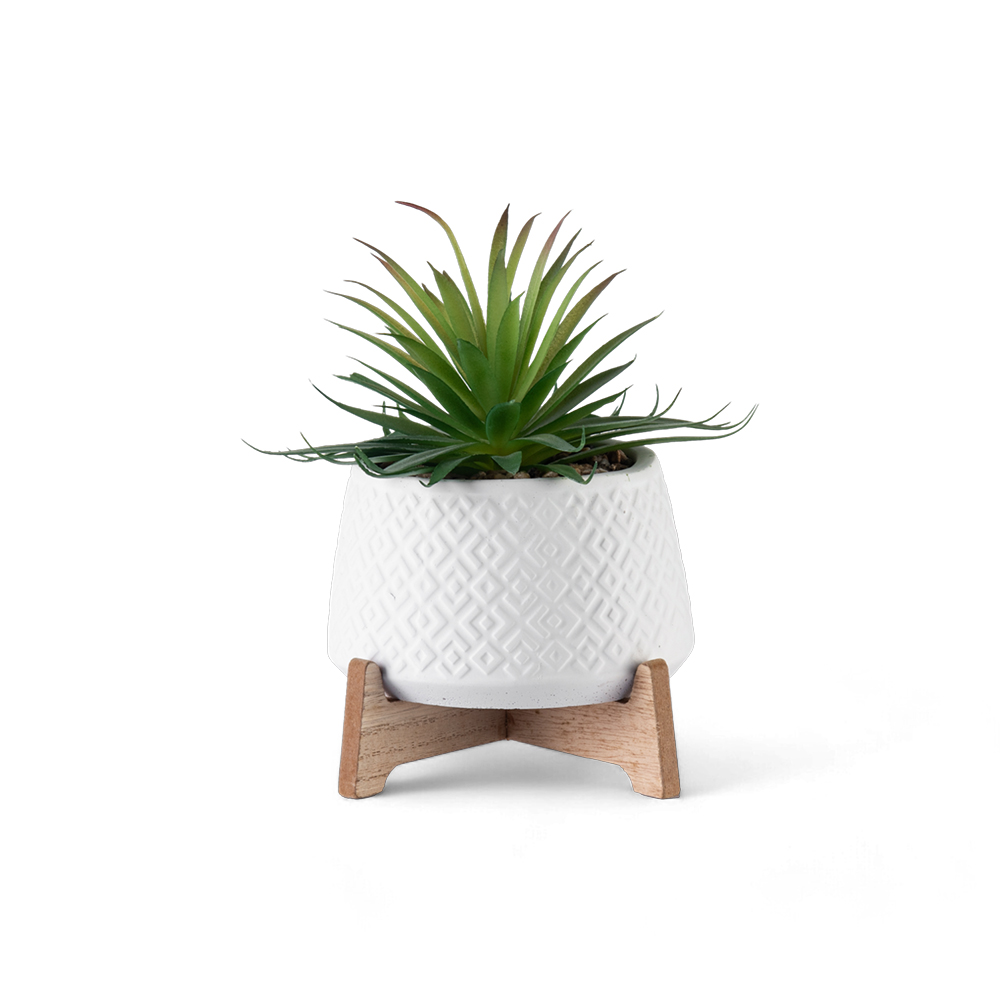 Potted Sword Grass (H21cm) - Image 2