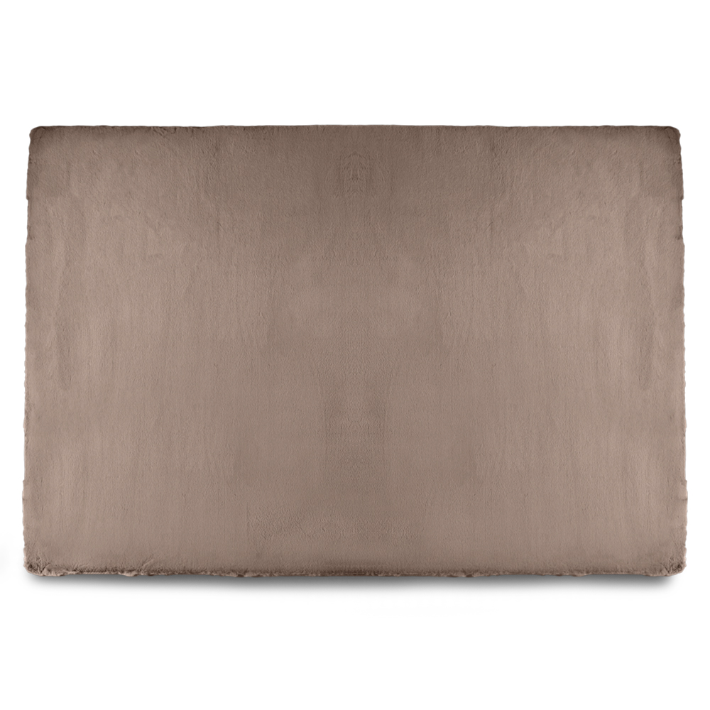 Rug (L290cm x W200cm)