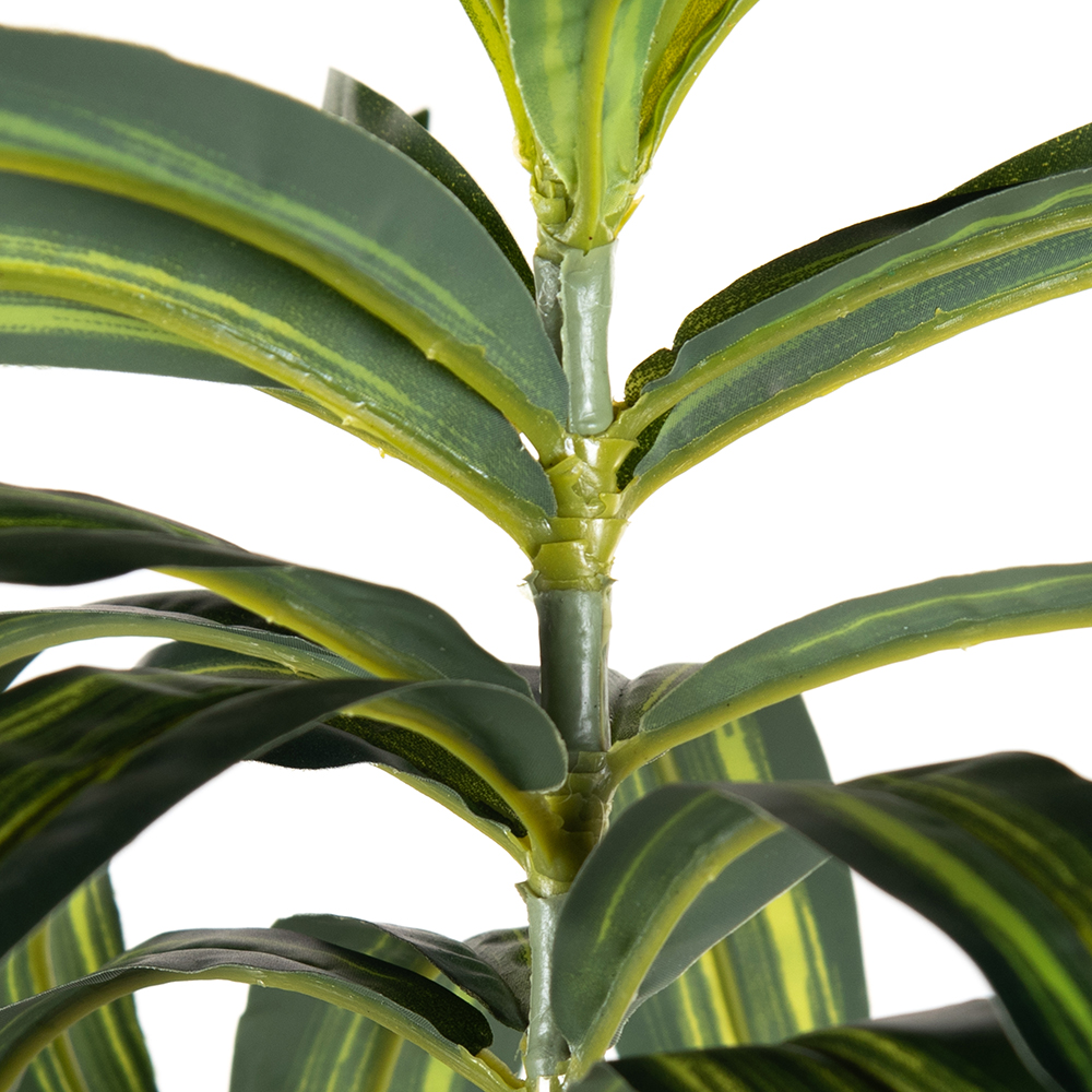 Potted Lily Bamboo Tree (H140cm) - Image 3