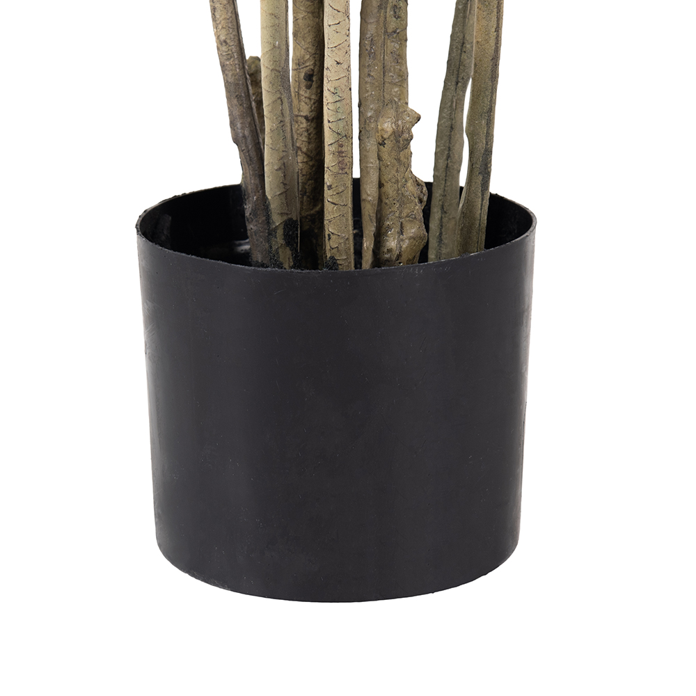 Potted Lily Bamboo Tree (H140cm) - Image 6