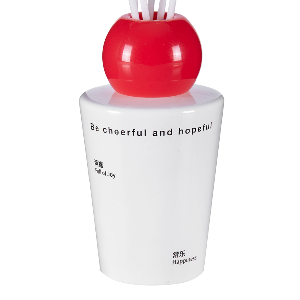 Reed Diffuser (100ml) - Image 3