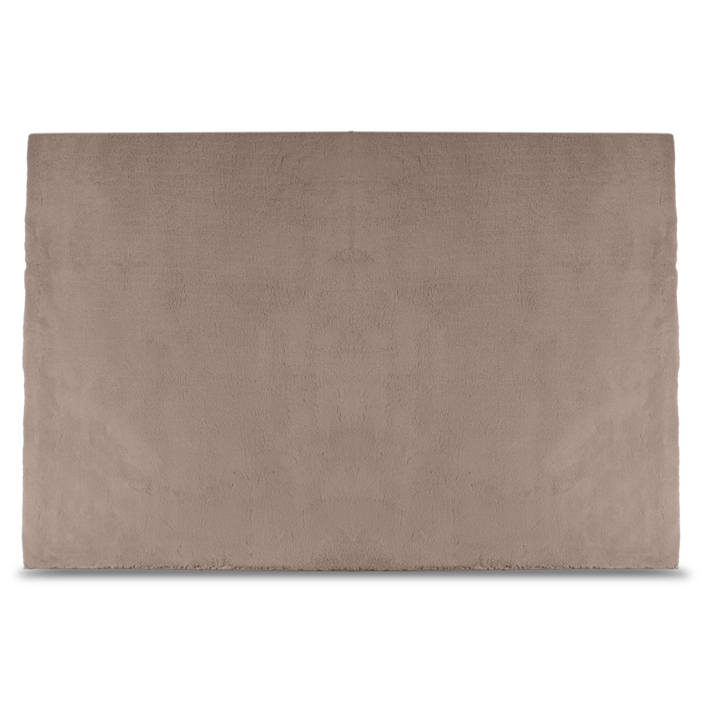 Rug (L290cm x W190cm)