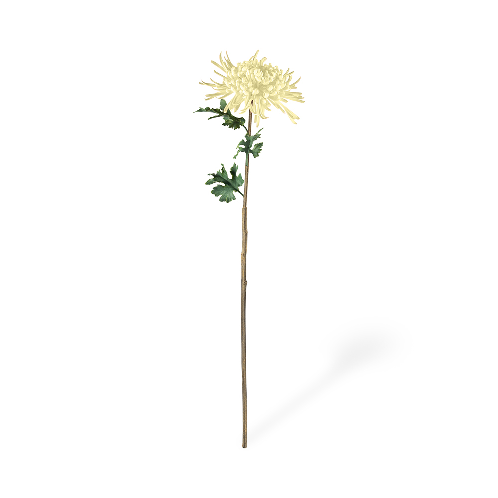 Single Chrysanthemum (H78cm)