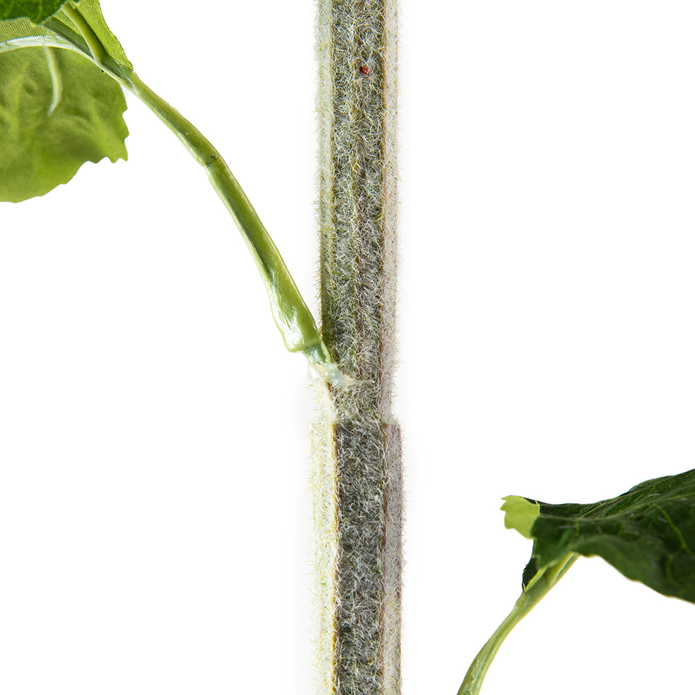 Single Teddy Bear Sunflower (H96cm) - Image 5