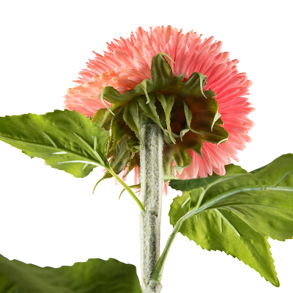 Single Teddy Bear Sunflower (H96cm) - Image 3