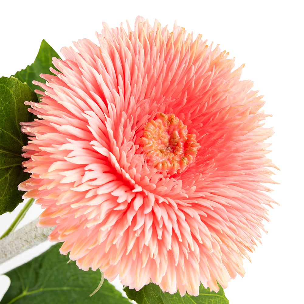 Single Teddy Bear Sunflower (H96cm) - Image 2