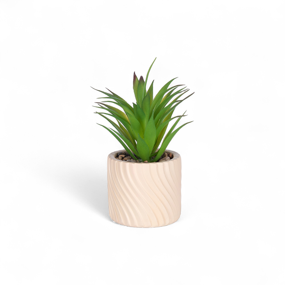Potted Plant (H17cm)