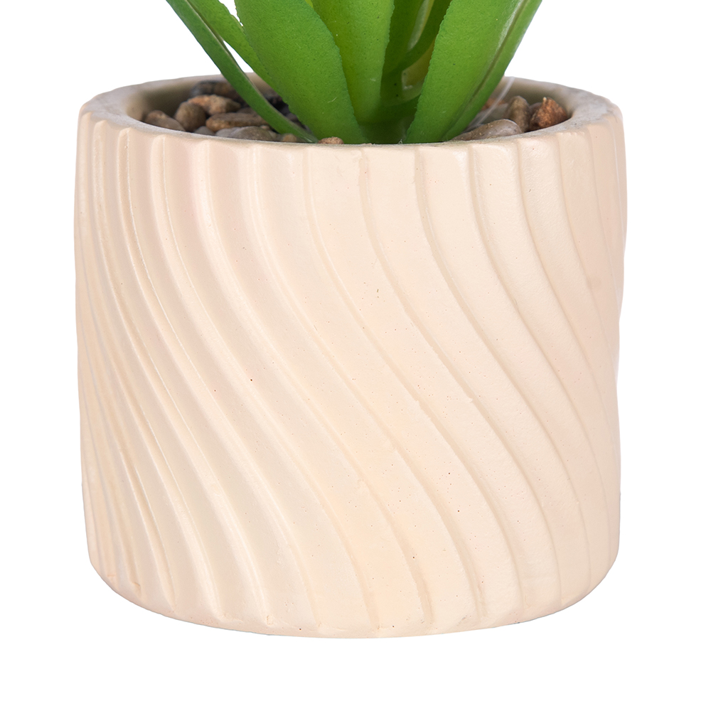 Potted Plant (H17cm) - Image 3
