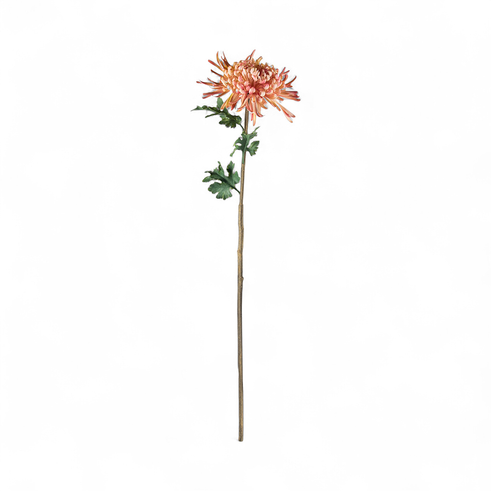 Single Chrysanthemum (H78cm)