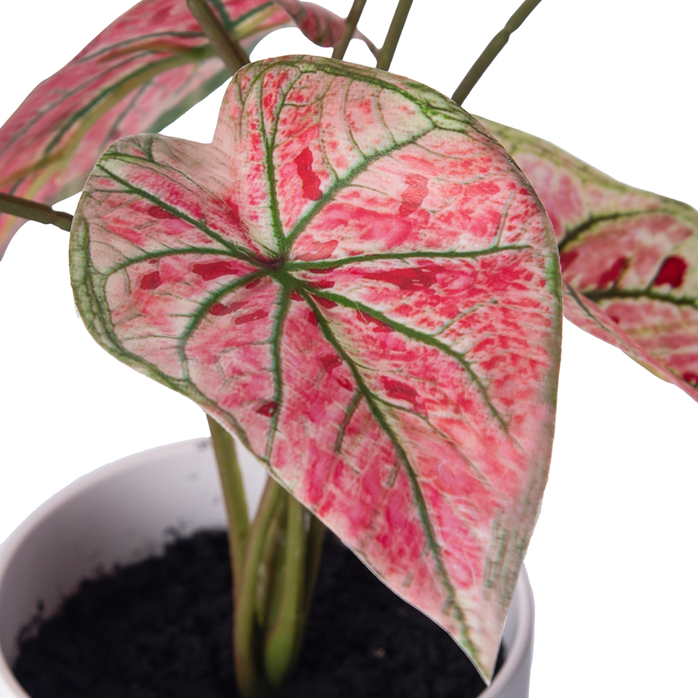Real Touch Potted Syngonium (H29cm) - Image 2