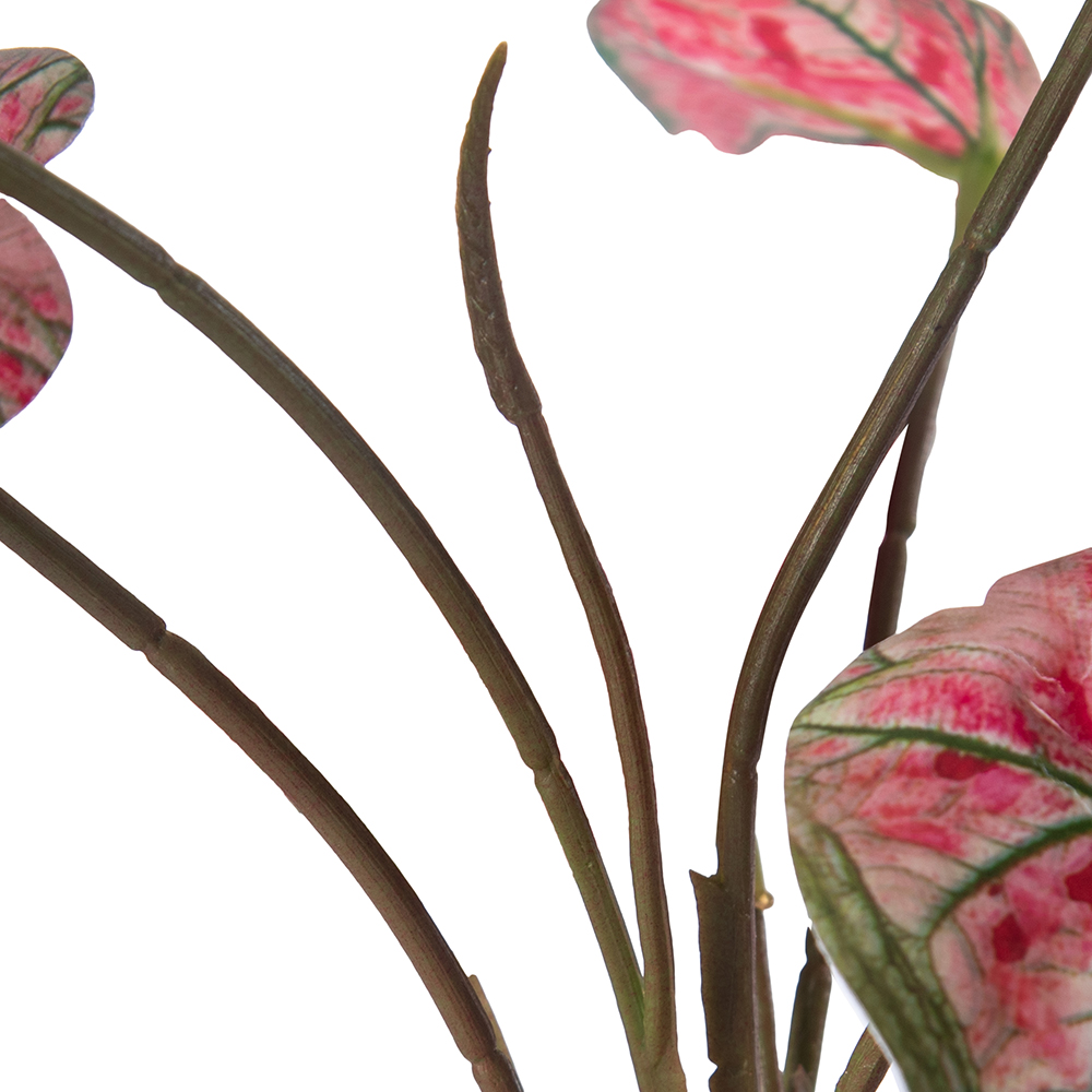 Real Touch Potted Syngonium (H29cm) - Image 3