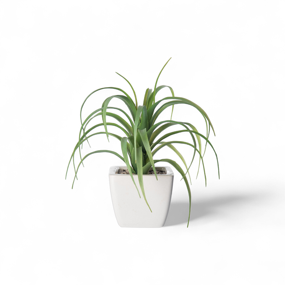 Spider Potted Plant (H21cm) - Image 2