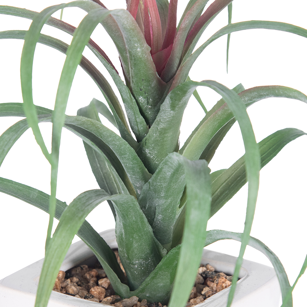 Spider Potted Plant (H21cm) - Image 4
